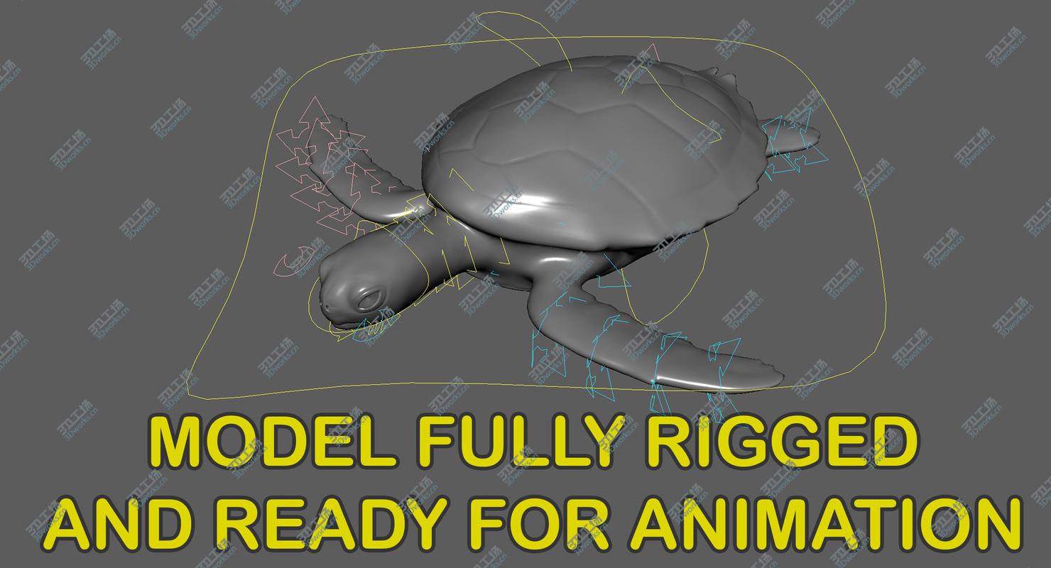 images/goods_img/2021040234/3D model Green Sea Turtle (Animated)/3.jpg